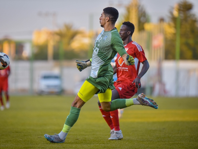 נסאר. הציל את קבוצתו פעם אחר פעם (נזיה סולטאן)